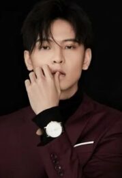 Chen Junxi
