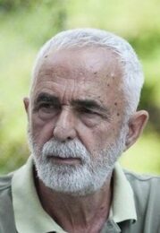 Gordan Mihić
