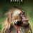 Africa : 1.Sezon 5.Bölüm izle