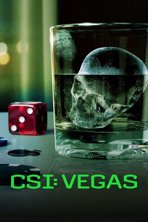 CSI Vegas : 2.Sezon 14.Bölüm