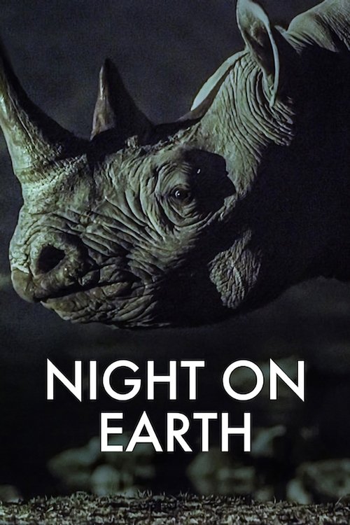 Night on Earth : 1.Sezon 2.Bölüm
