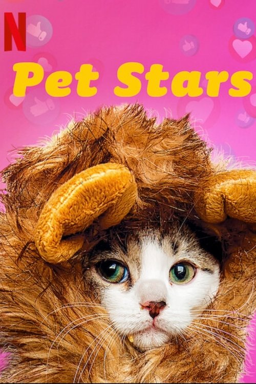 Pet Stars : 1.Sezon 2.Bölüm