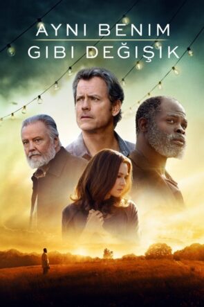 Aynı Benim Gibi Değişik izle (2017)