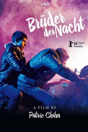 Brüder der Nacht izle (2016)