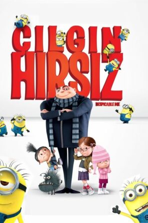 Çılgın Hırsız izle (2010)