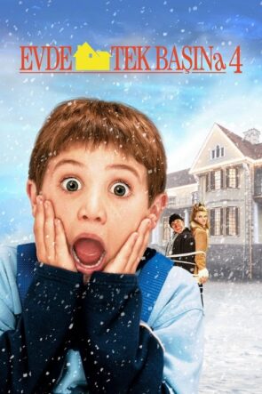 Evde Tek Başına 4 izle (2002)