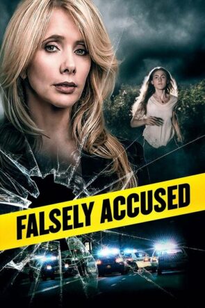 Falsely Accused izle (2016)