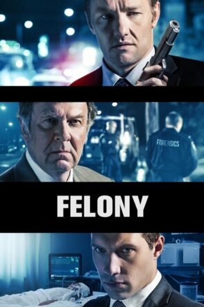 Felony izle (2014)