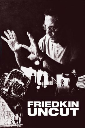 Friedkin Uncut izle (2018)
