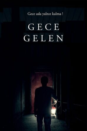 Gece Gelen izle (2017)