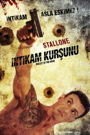 İntikam Kurşunu izle (2012)