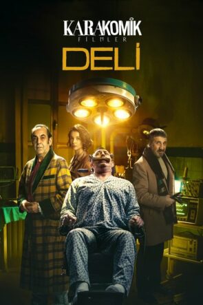 Karakomik Filmler 2: Deli izle (2020)