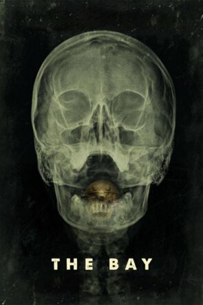 Körfezci izle (2012)