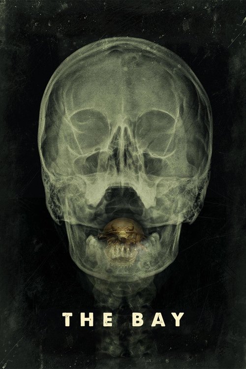 Körfezci izle (2012)