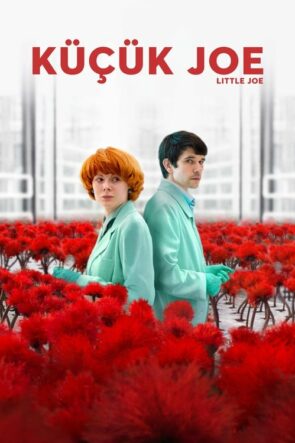 İğne İplik izle (2018)