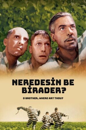 Neredesin Be Birader? izle (2000)