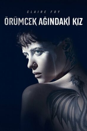 Örümcek Ağındaki Kız izle (2018)