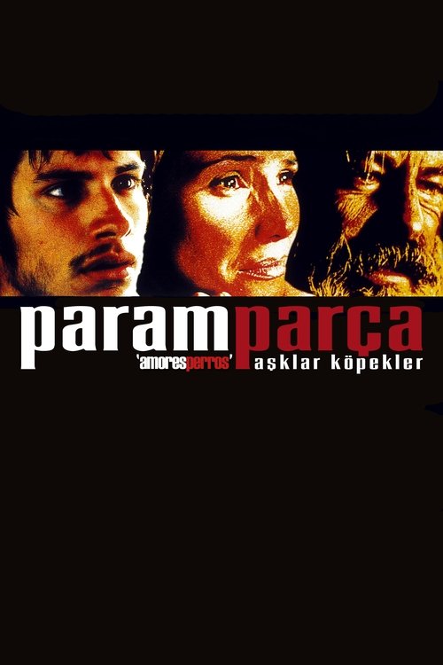 Paramparça Aşklar Köpekler izle (2000)