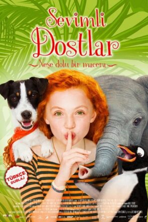 Axcellerator izle (2019)