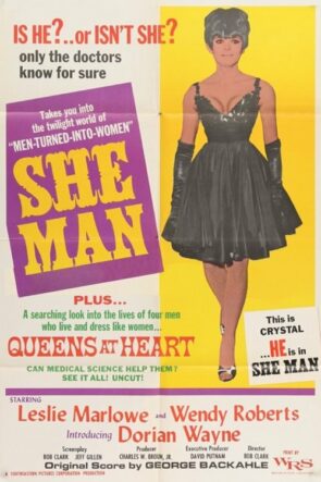She-Man: A Story of Fixation izle (1967)