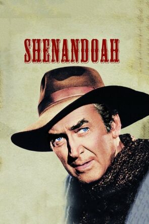 Shenandoah izle (1965)