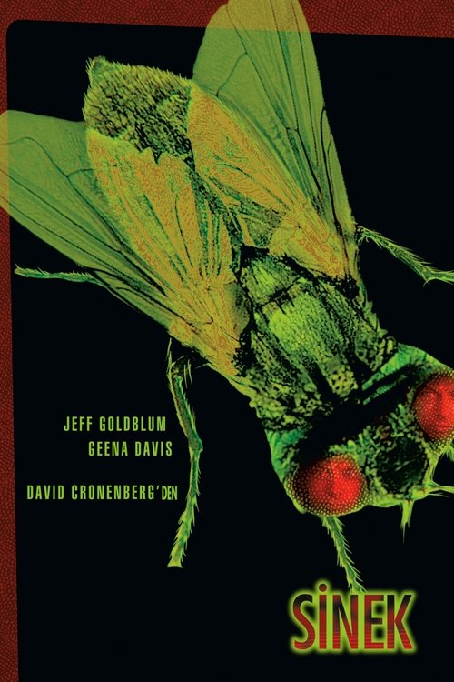 Sinek izle (1986)