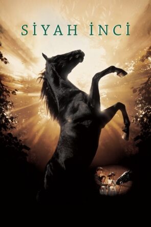 İlk Aşk izle (2006)