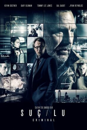 Suçlu izle (2016)