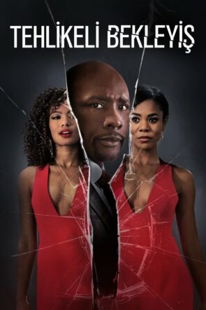 Tehlikeli Bekleyiş izle (2016)