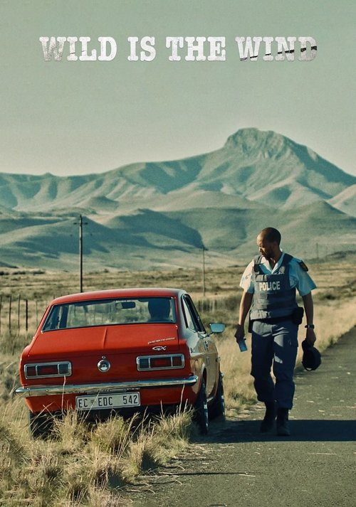 Vahşi Rüzgâr izle (2022)