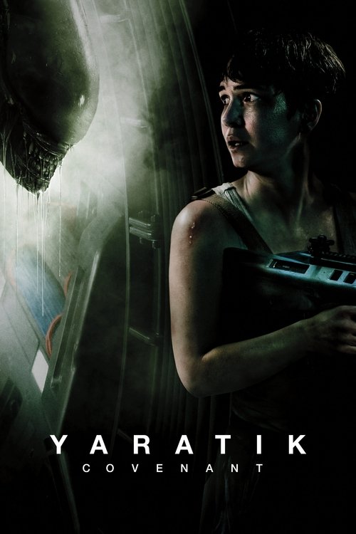 Çat Kapı Aşk izle (2019)